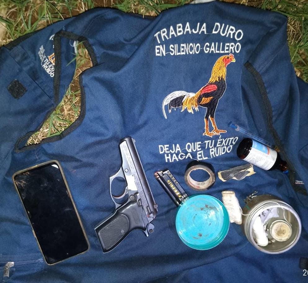 rina de gallos 2 - 3