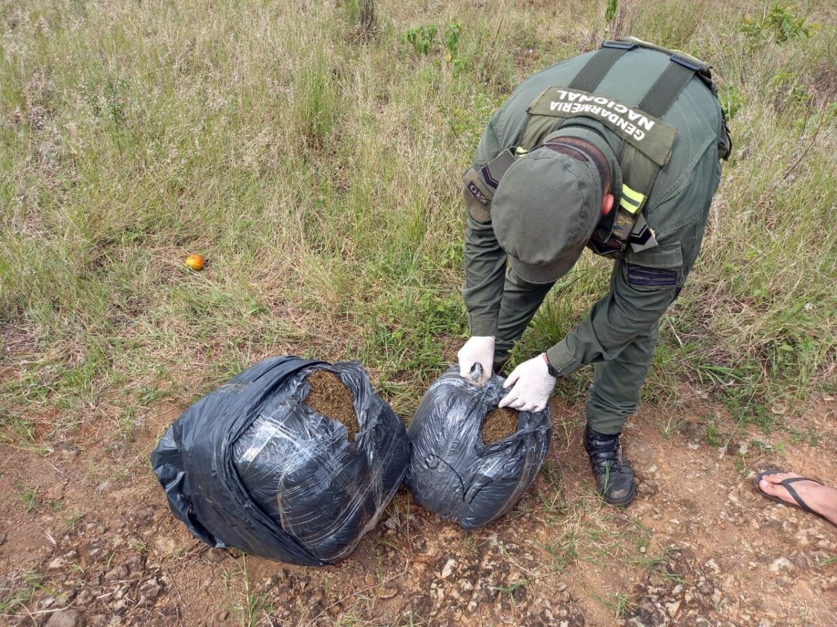 Secuestran más de 29 kilos de marihuana en tres procedimientos en Misiones y Corrientes