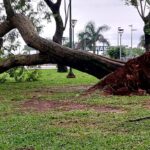 Mirá Las ImáGenes De Los Destrozos Que Provocó La Granizada Y Las Fuertes Lluvias En Posadas