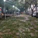 Mirá Las ImáGenes De Los Destrozos Que Provocó La Granizada Y Las Fuertes Lluvias En Posadas