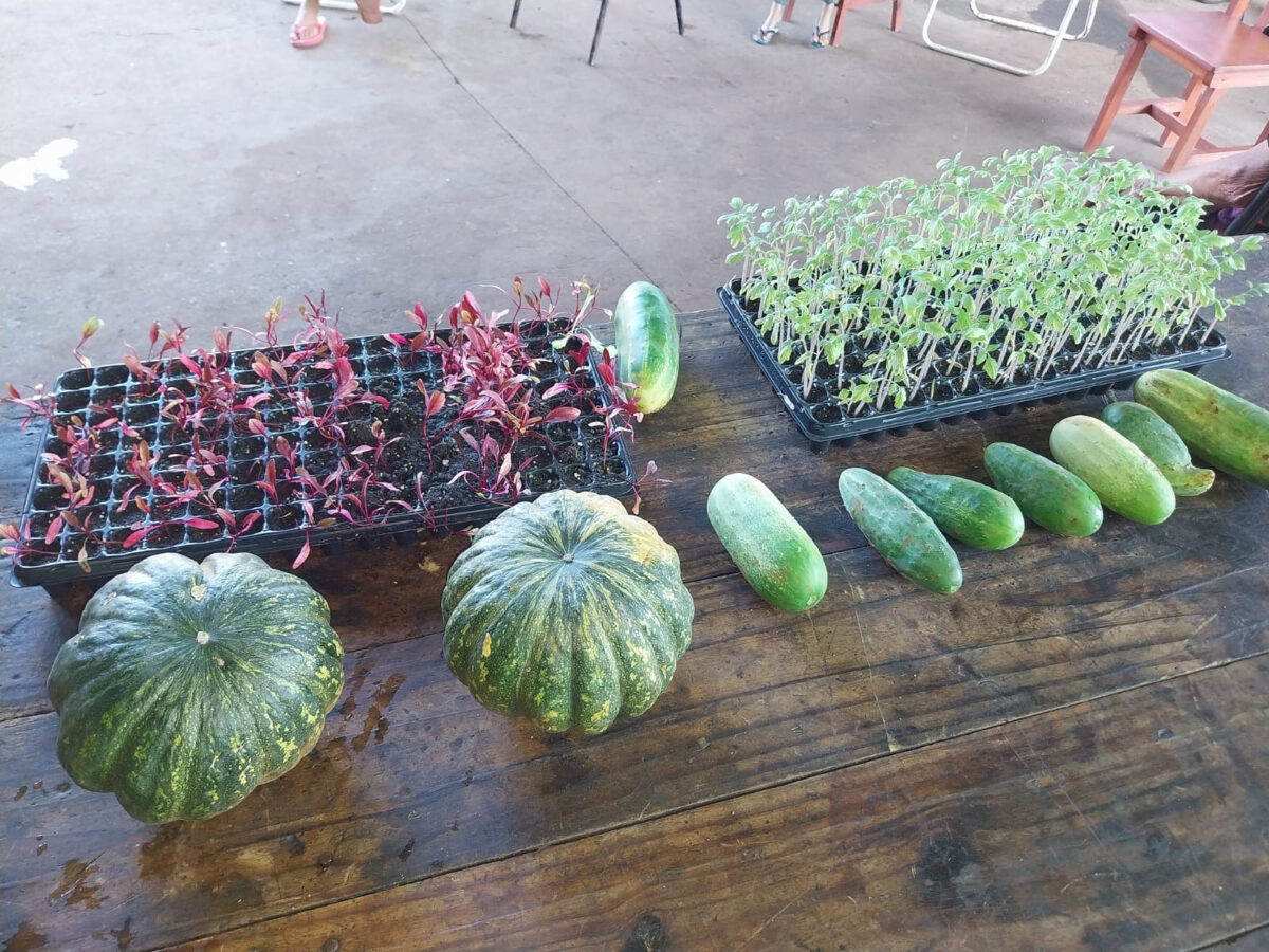 Más familias de Garupá se suman al programa de Huertas Agroecológicas del IFAI