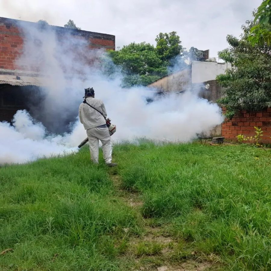 Siguen los operativos de control sobre el dengue en Posadas 