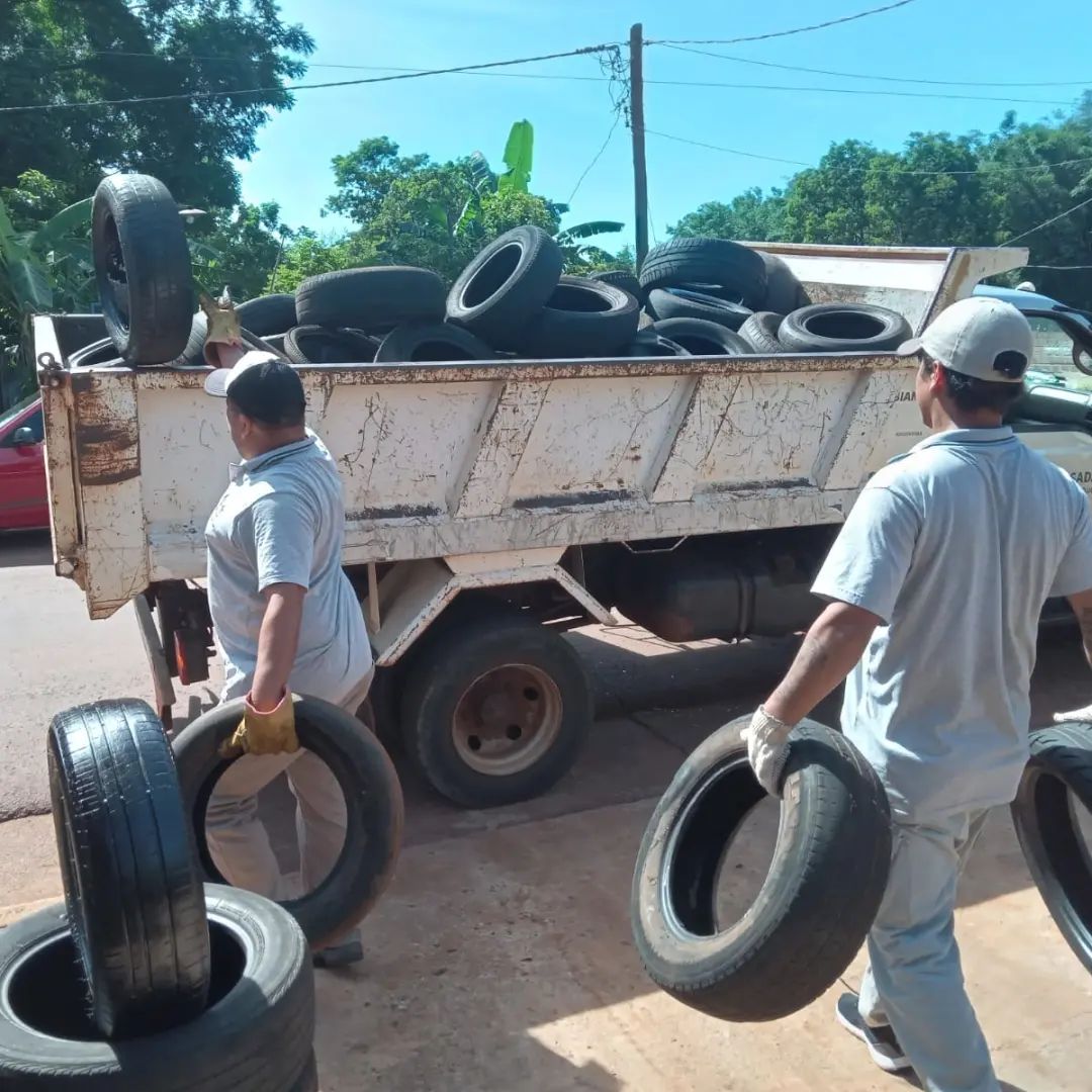 Retiraron más de 1300 neumáticos en desuso e intensifican la lucha contra el dengue en Posadas