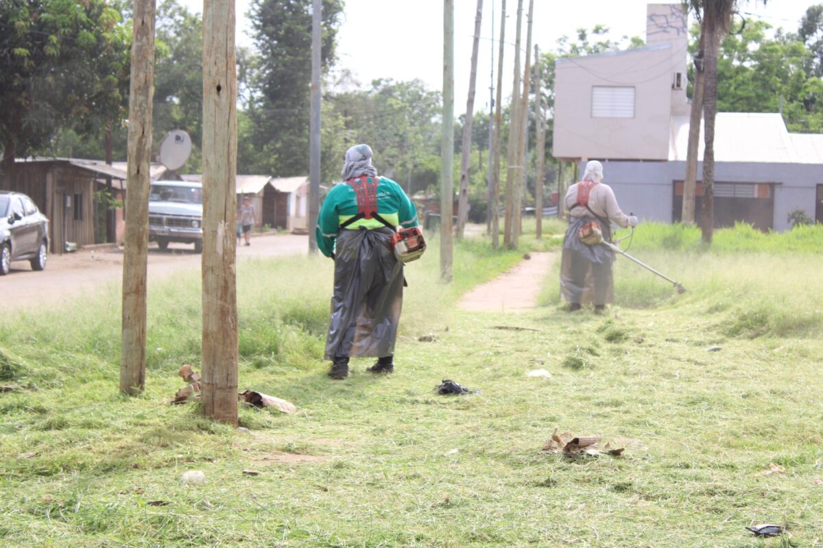 Intensifican operativos de control focal en Posadas