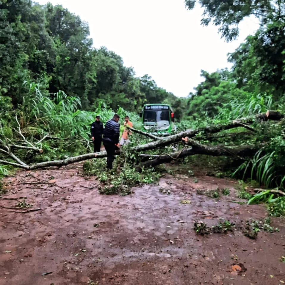 La Policía de Misiones realiza un amplio operativo para asistir a damnificados por el temporal en la provincia