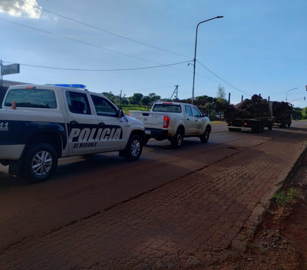 La Policia y Ecologia secuestraron gran cantidad de madera nativa en San Vicente 1 - 1