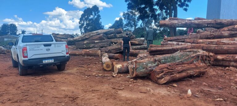 La Policía y Ecología secuestraron gran cantidad de madera nativa en San Vicente