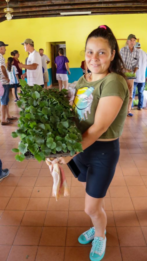 Entregaron semillas de maíz a productores e intensifican la diversificación en las chacras misioneras 4 8 - agro 10 - 7