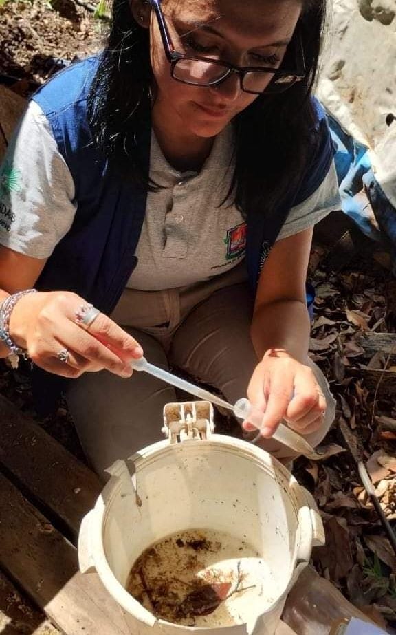 Concientizan sobre el dengue en Posadas para evitar la proliferación de mosquitos 1 2 - dengue 2 - 1