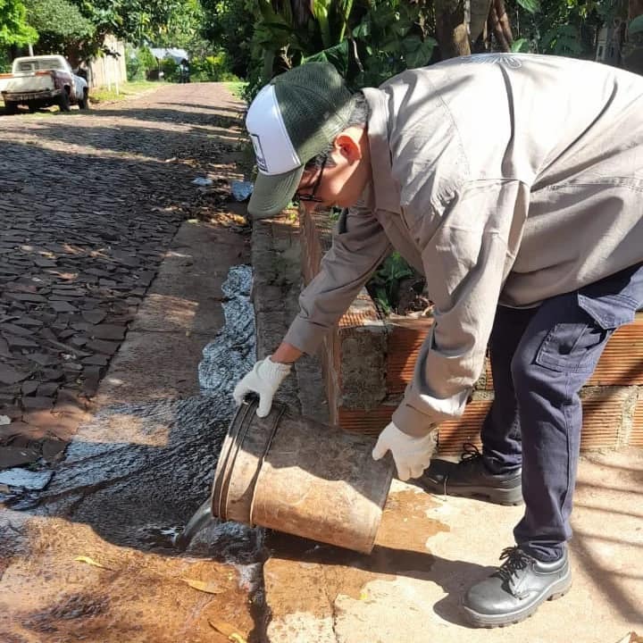 Lucha contra el dengue: intensifican trabajos de prevención en barrios posadeños