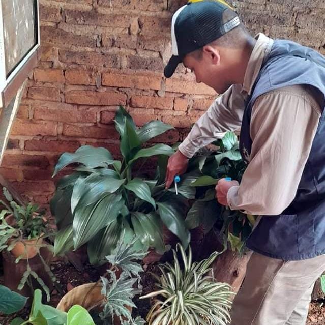 Concientizan sobre el dengue en Posadas para evitar la proliferación de mosquitos 2 4 - dengue 3 - 3