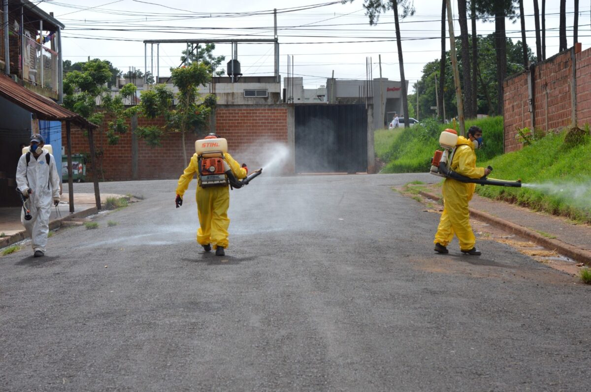 Dengue: intensifican en Posadas los trabajos de prevención y piden la colaboración de los vecinos 1 2 - dengue 6 - 1