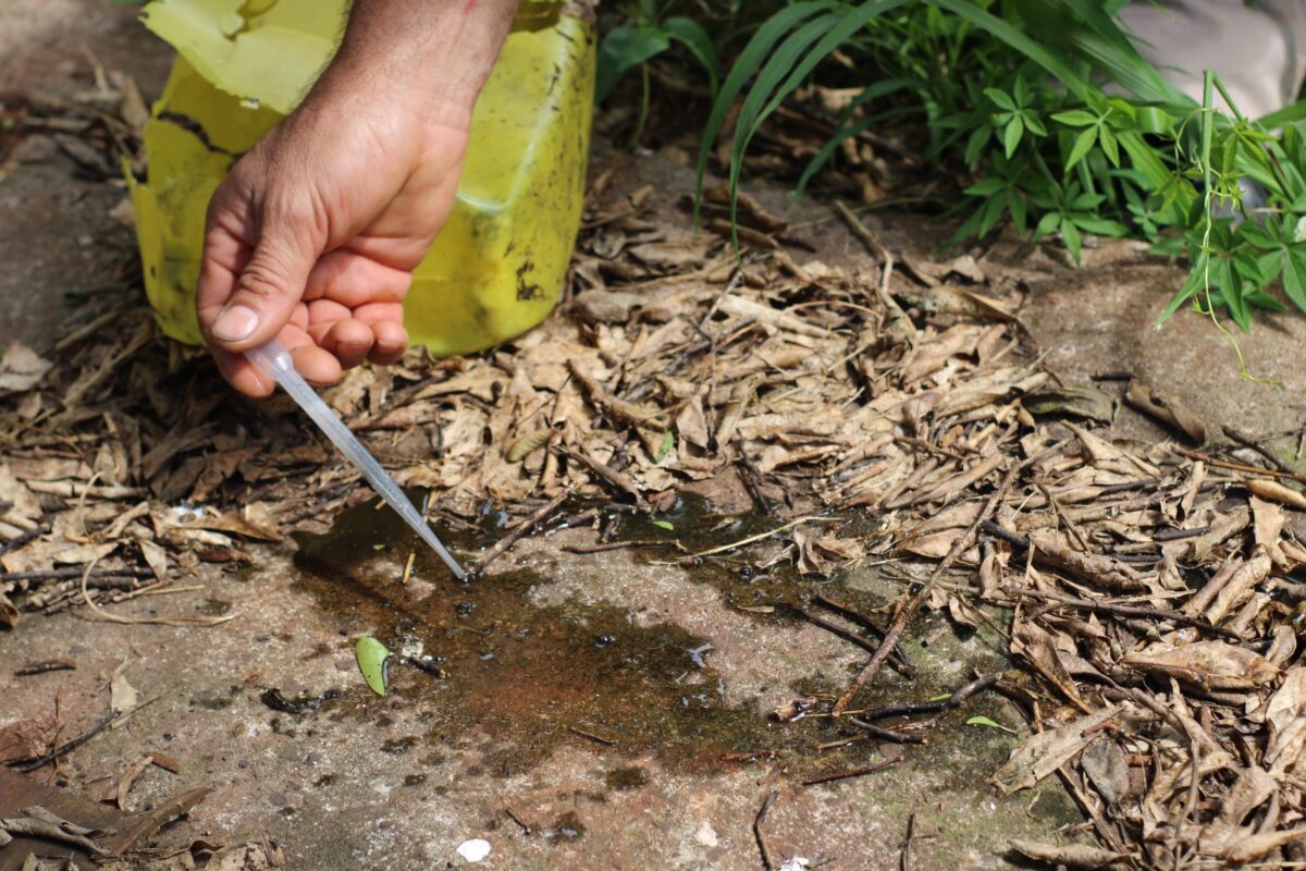 Siguen los trabajos de bloqueo epidemiológico para combatir el dengue en Posadas 3 6 - dengue en Posadas 5 - 5