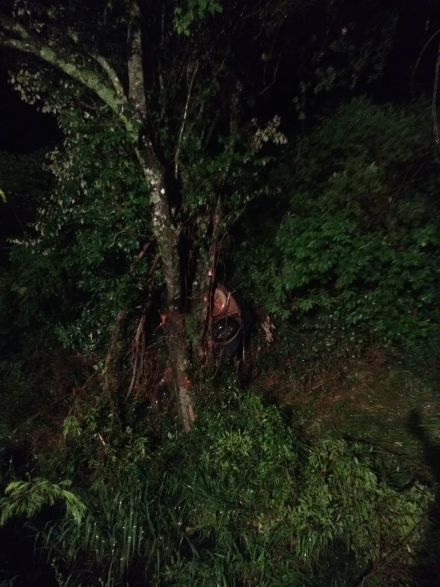 Un hombre falleció tras chocar su auto contra un árbol en Dos Hermanas