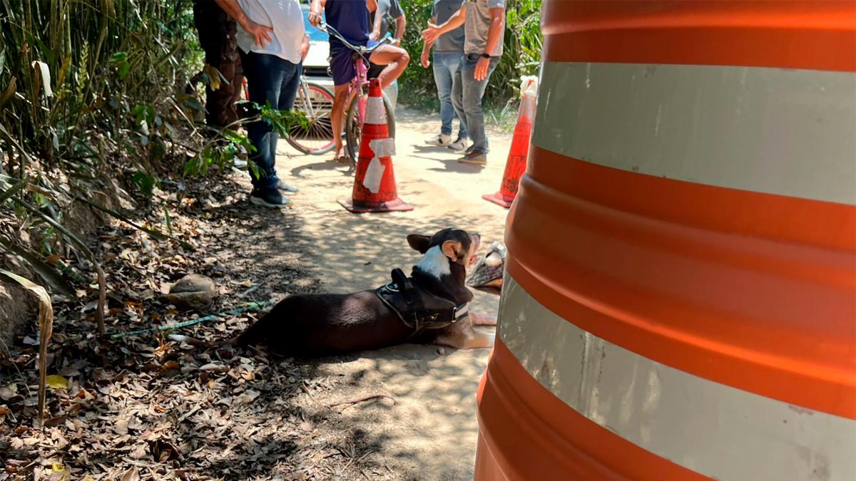 Brasil: mataron de al menos una puñalada a una argentina en Buzios 1 2 - lugar del hecho - 1