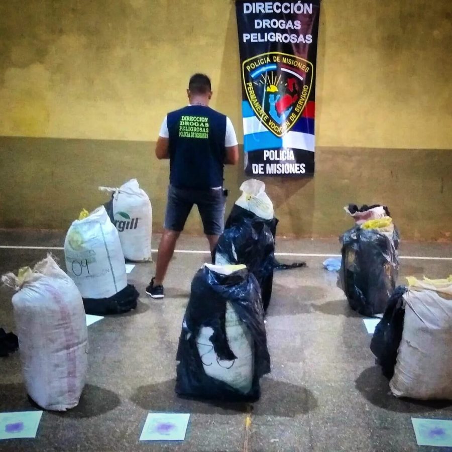marihuana en cerro cora 2 - 1