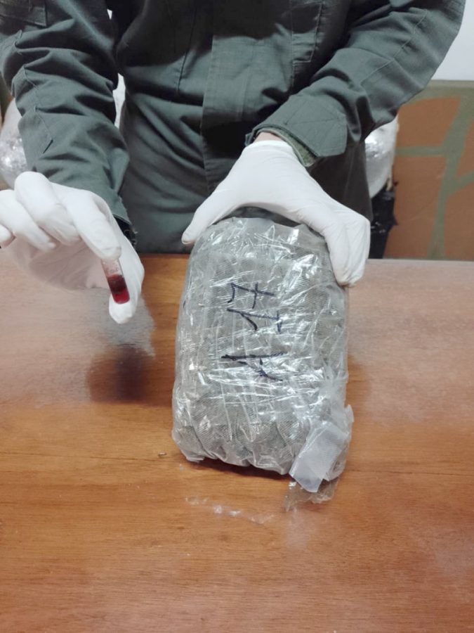 marihuana en encomienda 1 - 1