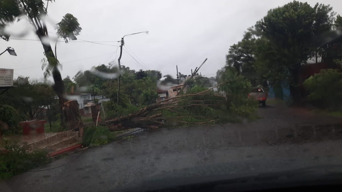 Fuerte temporal azotó varios municipios de la provincia