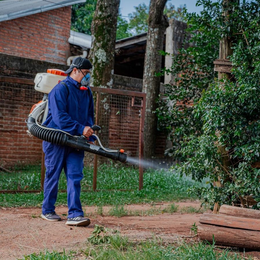 Continúan realizando operativos en la lucha contra el dengue en zonas periféricas de Posadas