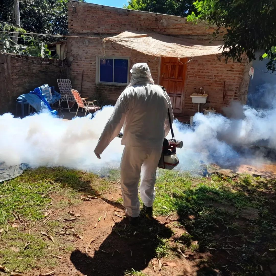 Dengue: operativos de descacharrización y control focal para la combatir la proliferación del mosquito