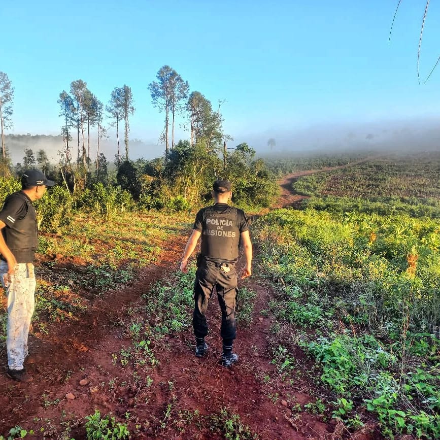 Detuvieron a un hombre que realizaba caza furtiva en 25 de mayo 1 - 5