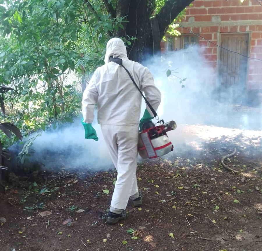 En Posadas llevan adelante múltiples operativos contra el dengue para prevenir su propagación