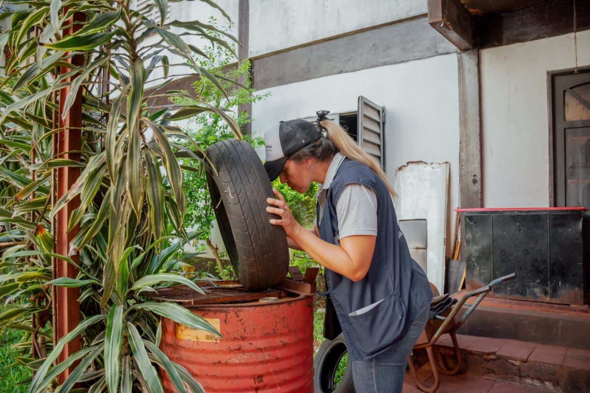 Intensifican operativos de prevención contra el dengue en Posadas