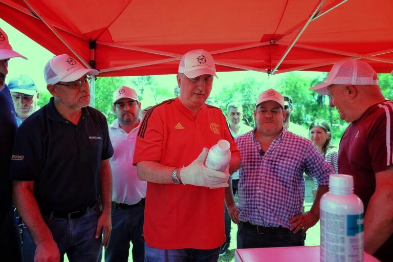 Passalacqua supervisó operativos contra el dengue en Puerto Iguazú