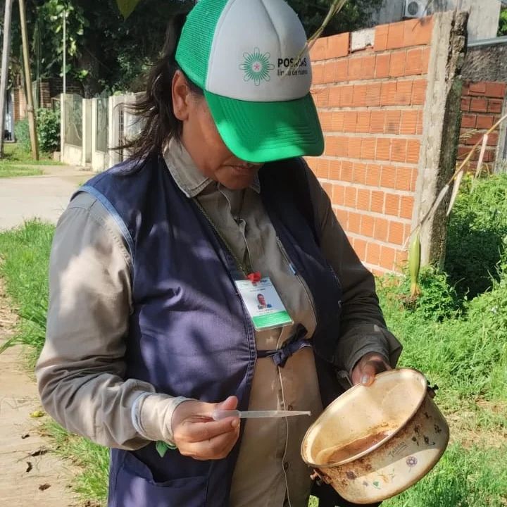 Realizarán operativos de control focal para combatir el dengue en barrios de Posadas