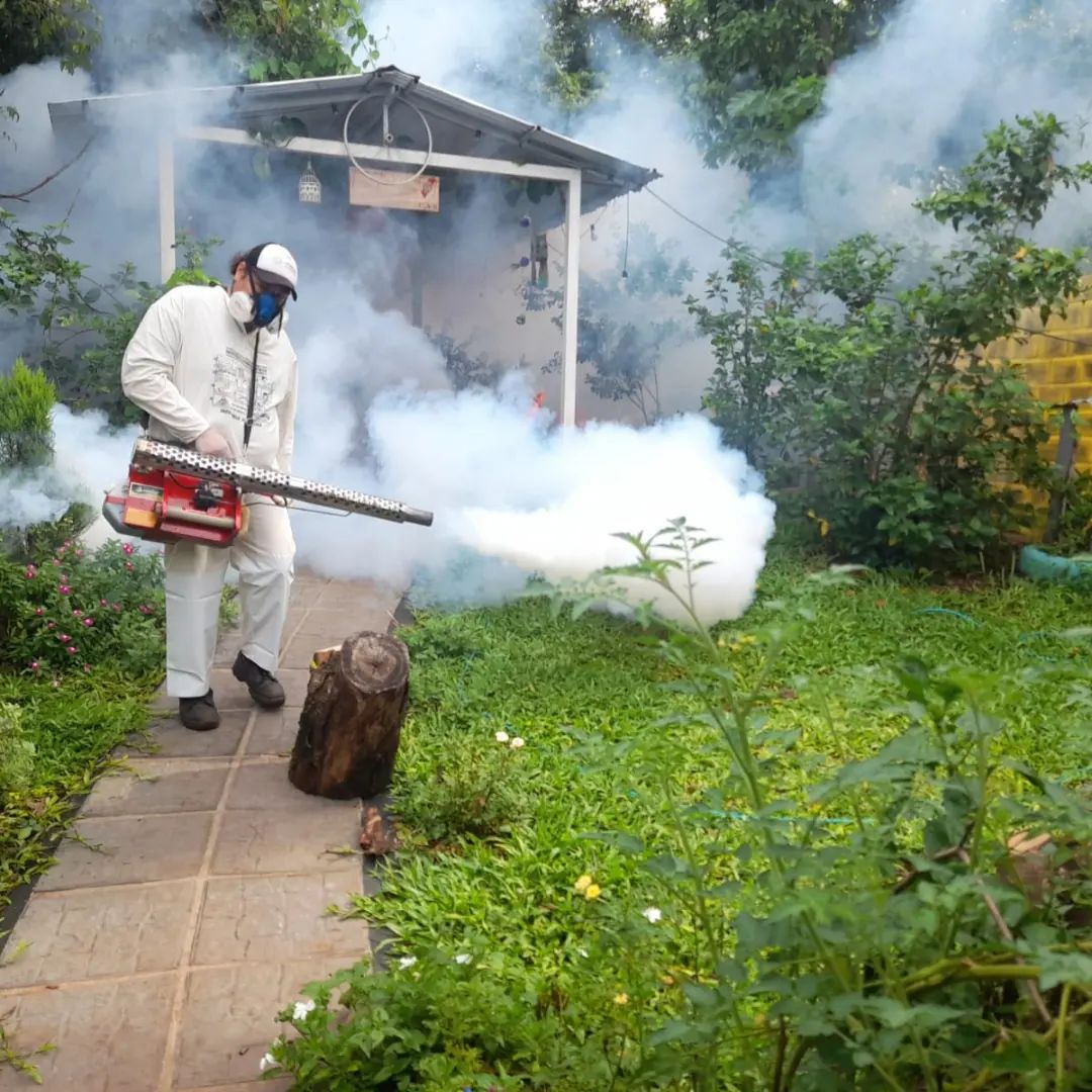 Recomiendan la limpieza y el descacharrizado en hogares para prevenir el dengue en Posadas