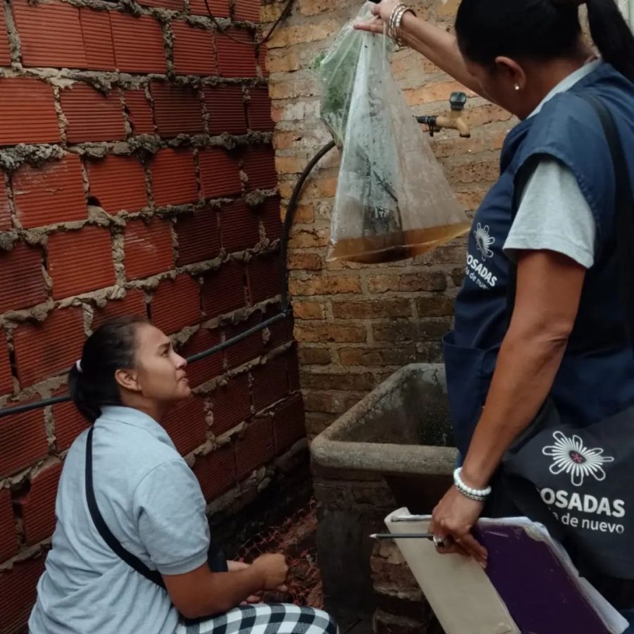 Recomiendan la limpieza y el descacharrizado en hogares para prevenir el dengue en Posadas