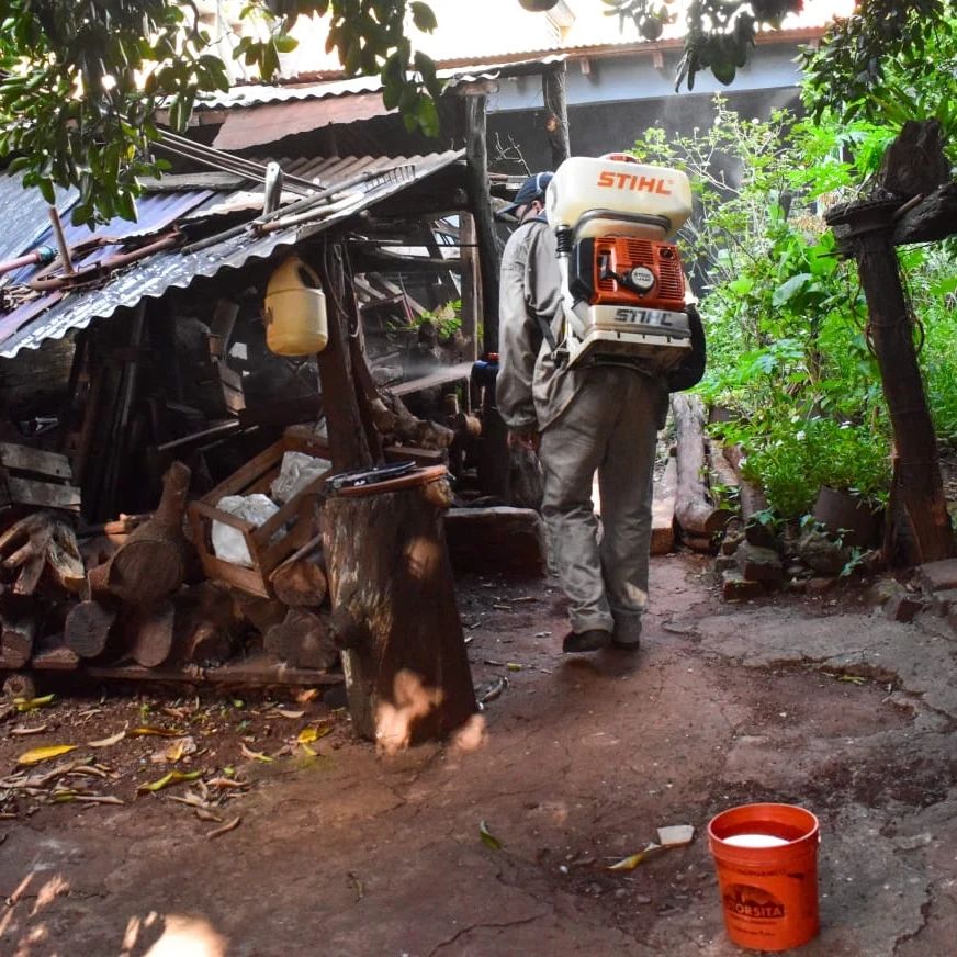 Refuerzan en Posadas los operativos para prevenir la proliferación del mosquito transmisor del dengue