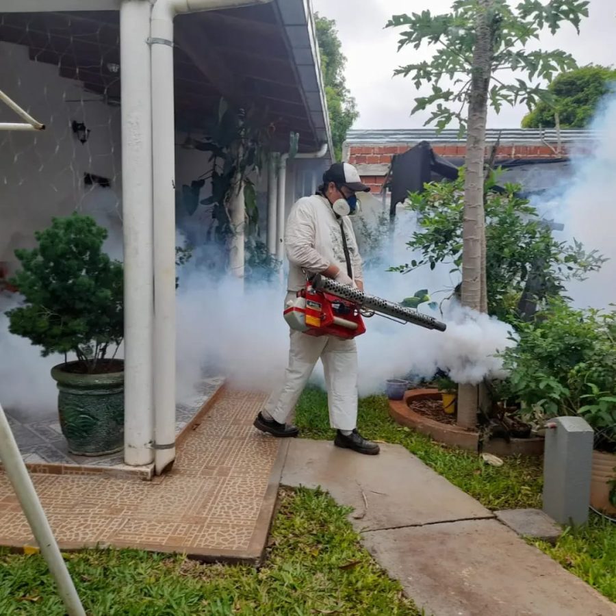Refuerzan los operativos contra el dengue en Posadas