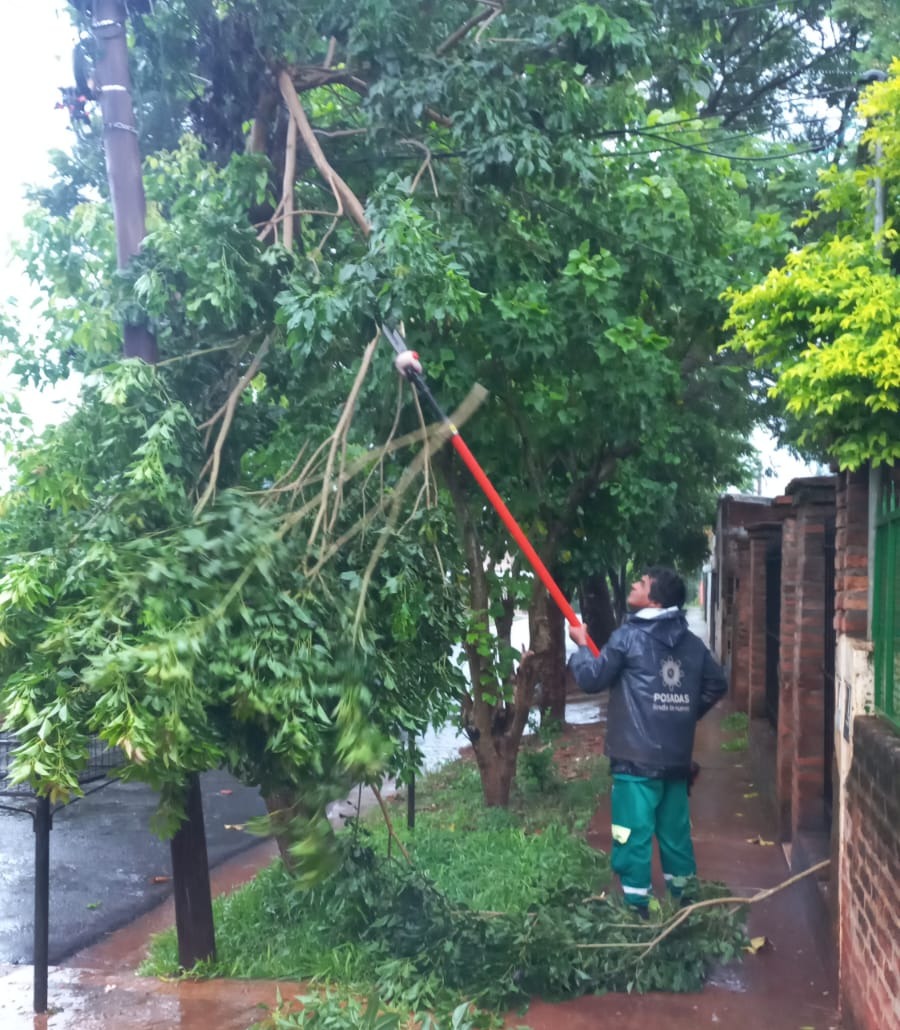 Remueven ramas, postes y limpian la capital tras los daños causados por la tormenta