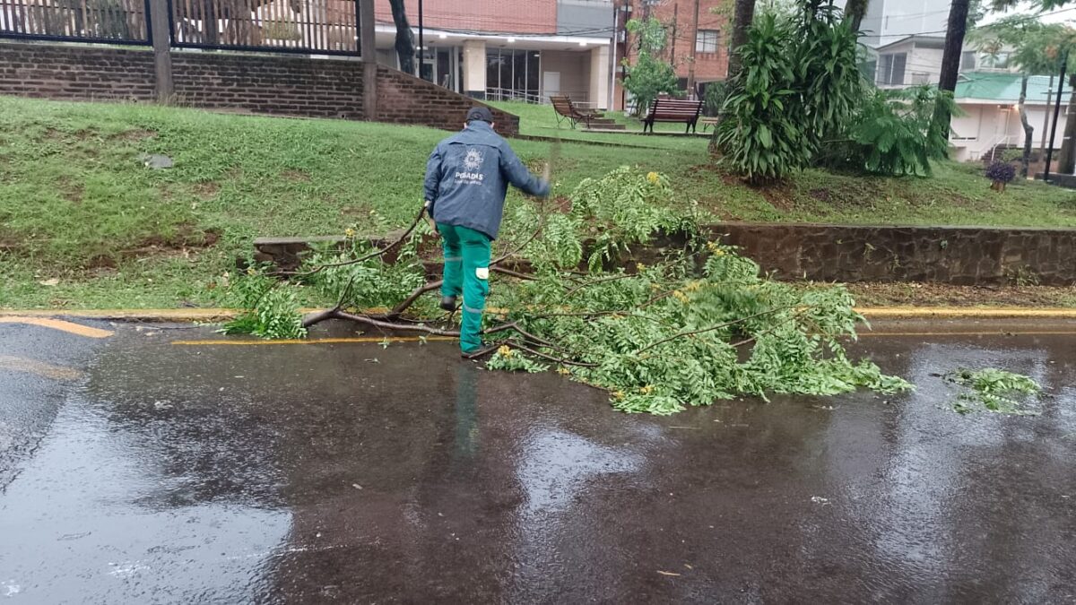 Remueven ramas, postes y limpian la capital tras los daños causados por la tormenta