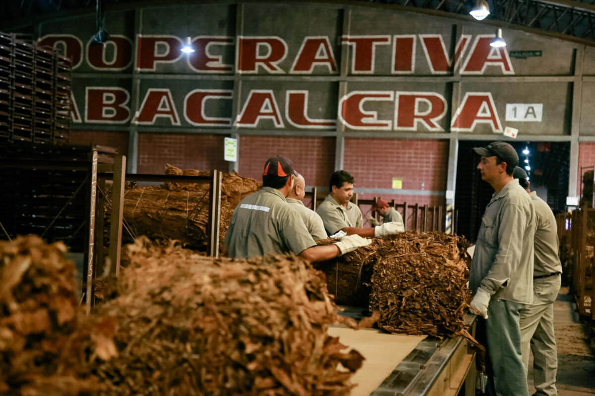 Tras el histórico acuerdo de precio, Passalacqua visitó la Cooperativa Tabacalera de Misiones