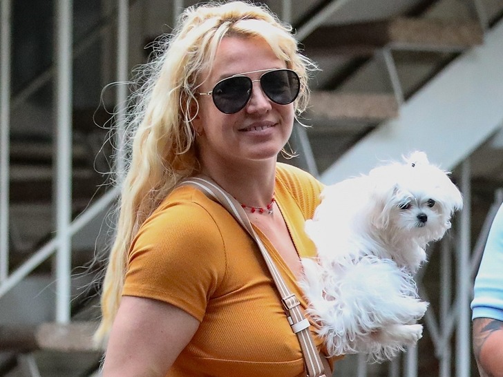 Britney Spears aseguró que no volverá a la industria musical