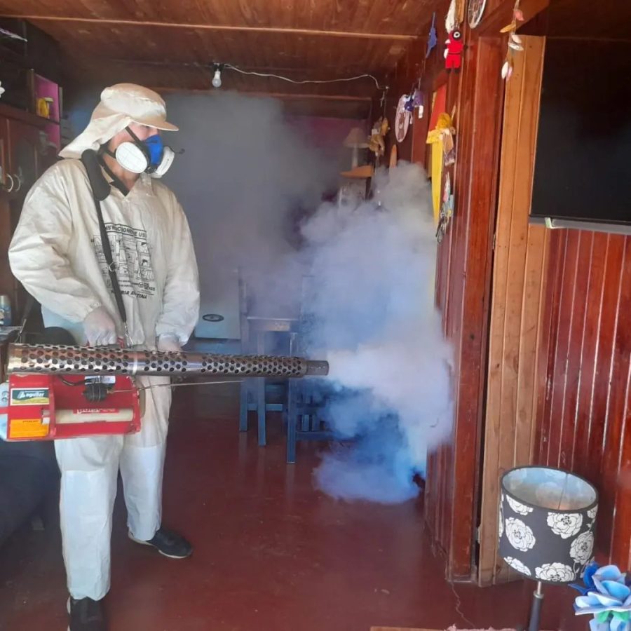 dengue 11 - 5
