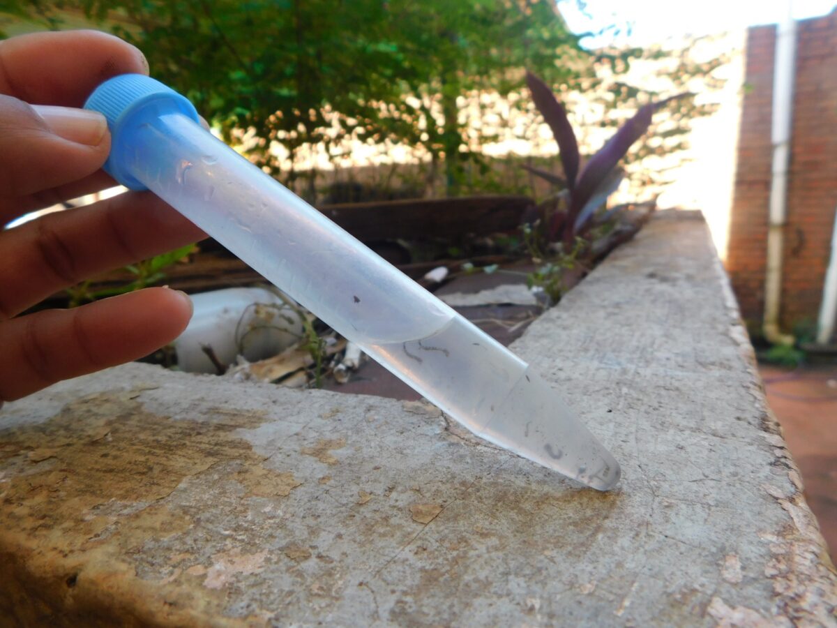 Posadas intensifica las acciones preventivas contra el dengue 1 2 - dengue 2 - 1