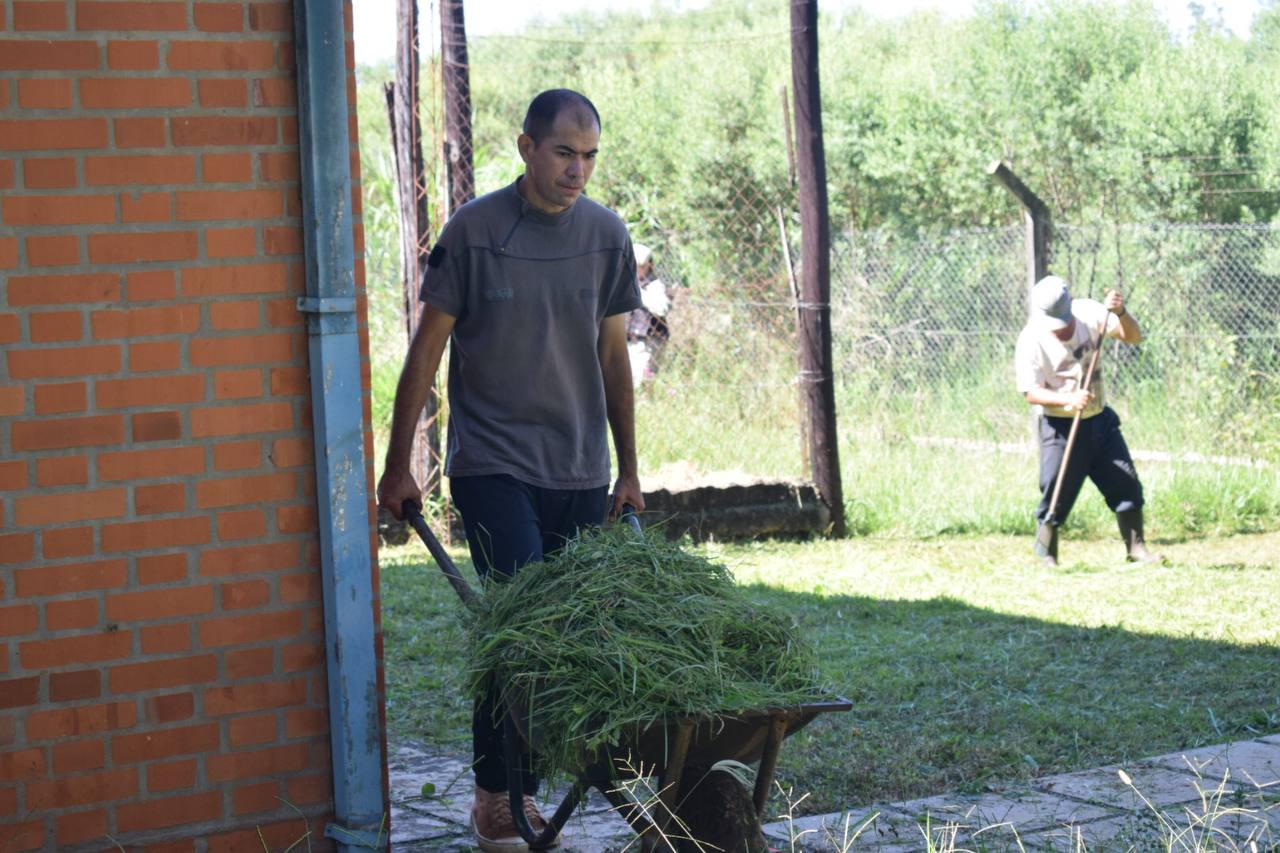 Concretaron operativos de desmalezamiento y fumigación en las cárceles misioneras