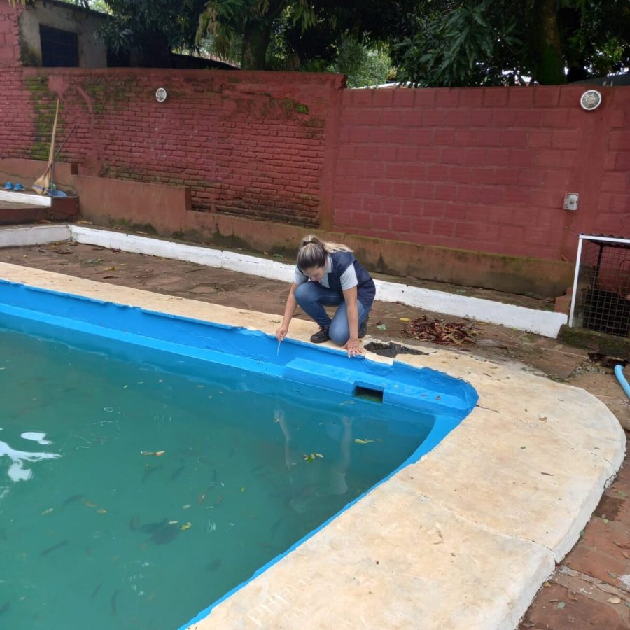 Dengue: ante el incremento de casos, Posadas intensifica acciones para reducir la población del Aedes aegypti 2 4 - dengue en posadas 2 - 3