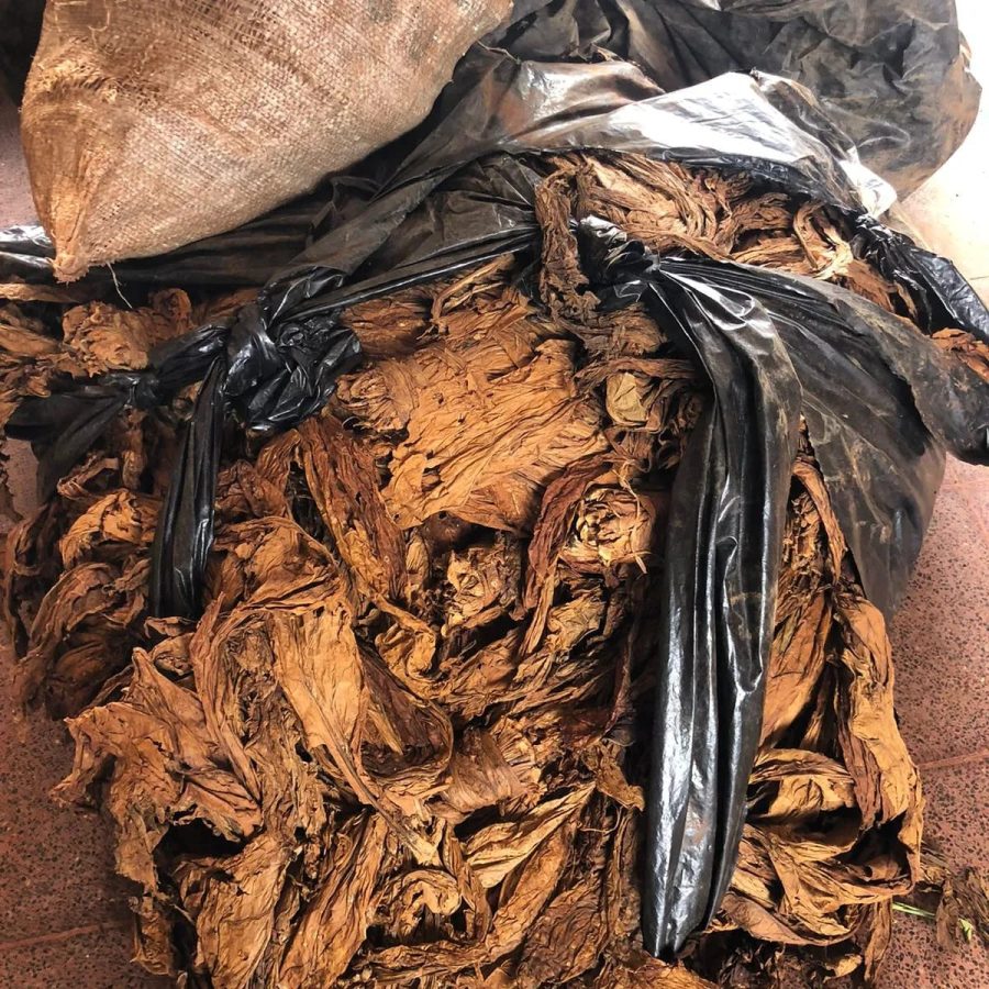 detenidos en procedimientos 2 - 3