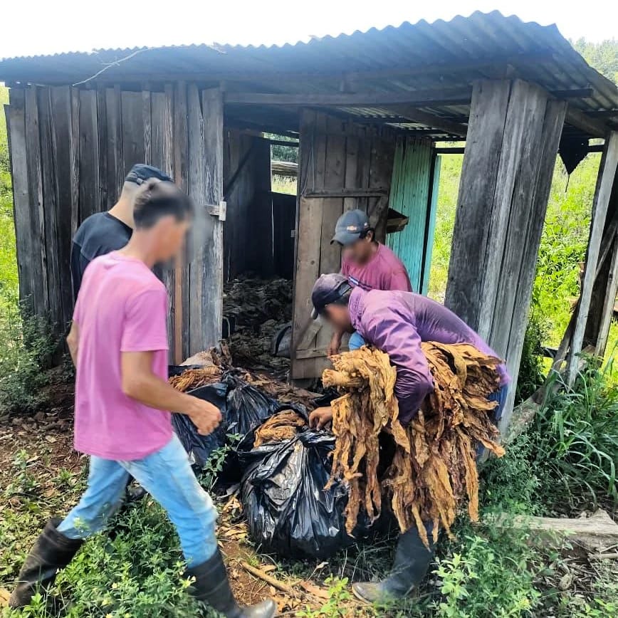 detenidos en procedimientos 3 - 5