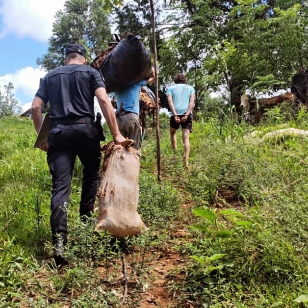 detenidos en procedimientos 4 - 7