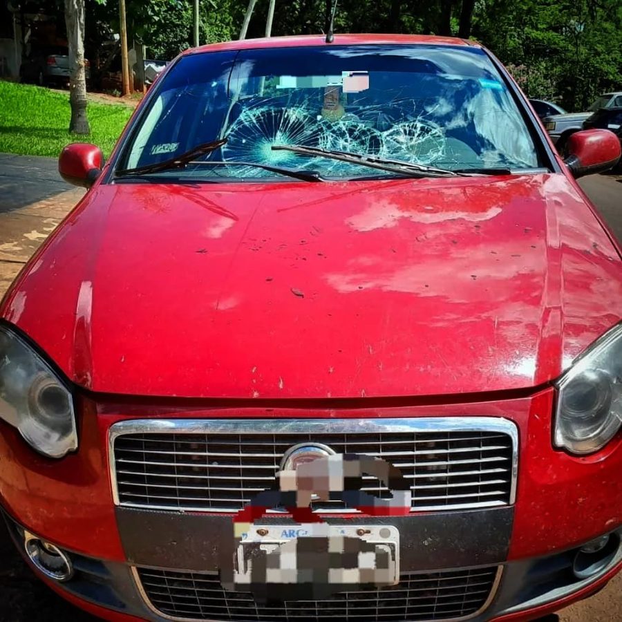 Detuvieron a una mujer por destruir el auto de su ex, a un ladrón de tabaco y un prófugo de la Justicia 5 10 - detenidos en procedimientos 5 - 9