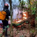 incendios en misiones 2 - 11