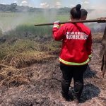 incendios en misiones 3 - 13
