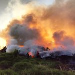 incendios en misiones 8 - 5