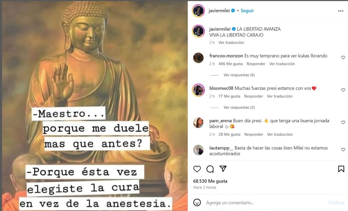 "Esta vez elegiste la cura y no la anestesia": el posteo de Milei para referirse al impacto de sus medidas 1 1 - posteo milei