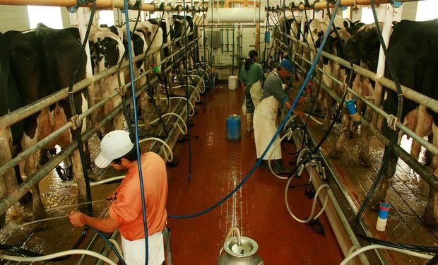 Nación prorrogó la suspensión de las retenciones a los lácteos